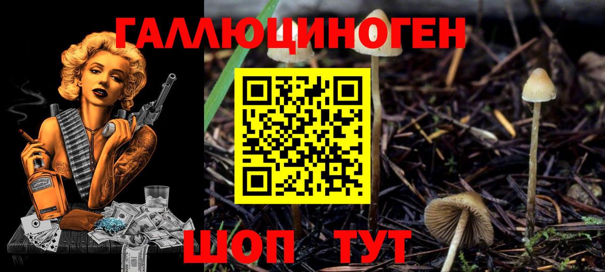 Галлюциногенные грибы MAGIC MUSHROOMS  Вход с VPN  Норильск 